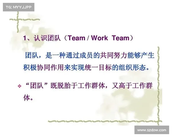 团队协作助力下的光辉装备推荐与优化策略 团队协作助力下的光辉装备推荐与优化策略