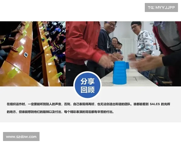 辅助光辉装备使用策略与团队协作效率提升指南 辅助光辉装备使用策略与团队协作效率提升指南