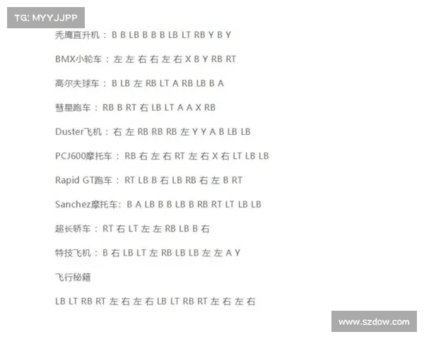 轻松掌握侠盗飞车无限血秘籍使用技巧快速上手指南 轻松掌握侠盗飞车无限血秘籍使用技巧快速上手指南